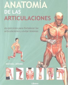 ANATOMIA DE LAS ARTICULACIONES