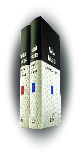 Diccionario uso español (2 vols)