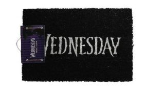 FELPUDO WEDNESDAY