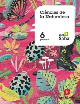 SD Profesor. Ciències de la naturalesa. 6 Primária. Més Saba