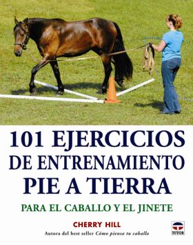 101 EJERCICIOS DE ENTRENAMIENTO PIE A TIERRA