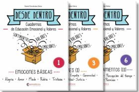 PACK DESDE DENTRO (6X4=24 EX.)