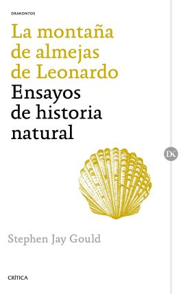 LA MONTAÑA DE ALMEJAS DE LEONARDO