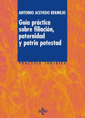 Guía práctica sobre filiación, paternidad y patria potestad