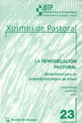 La remodelación pastoral. Dinamismo para un proyecto estratégico de futuro