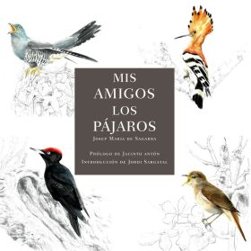 MIS AMIGOS LOS PAJAROS