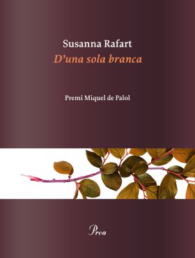DUNA SOLA BRANCA