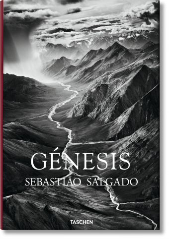 SEBASTIÃO SALGADO. GENESIS