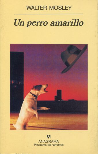 UN PERRO AMARILLO