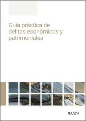 Guía práctica de delitos económicos y patrimoniales