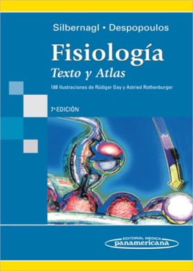 FIGURAS Y FORMAS NIVEL INTERMEDIO