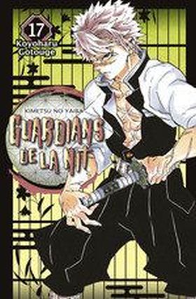 GUARDIANS DE LA NIT 17