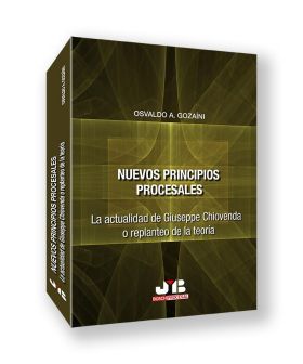 Nuevos principios procesales