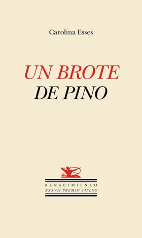 Un brote de pino