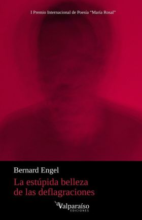 ESTUPIDA BELLEZA DE LAS DEFLAGRACIONES, LA