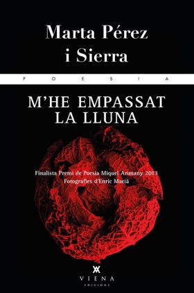 M HE EMPASSAT LA LLUNA