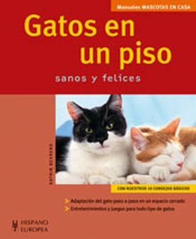 GATOS EN UN PISO (MASCOTAS EN CASA)