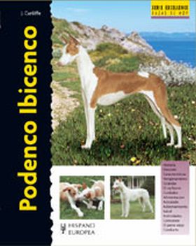 PODENCO IBICENCO