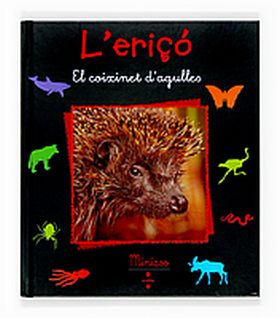 ERIÇO
