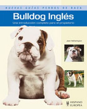Bulldog Inglés