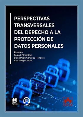 Perspectivas transversales del derecho a la protección de datos personales