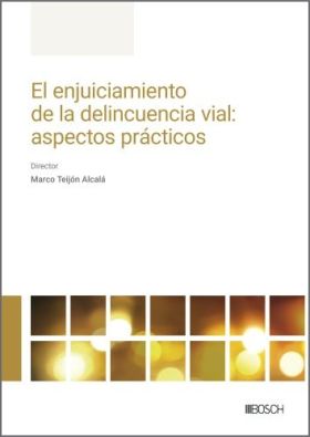 El enjuiciamiento de la delincuencia vial: aspectos prácticos