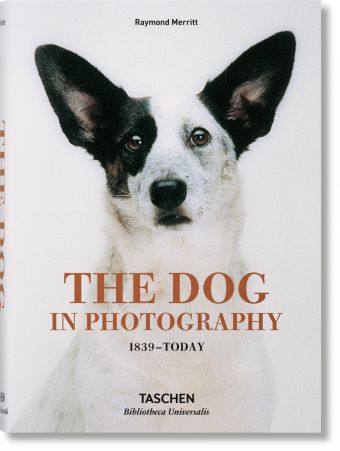 The Dog in Photography 1839Today