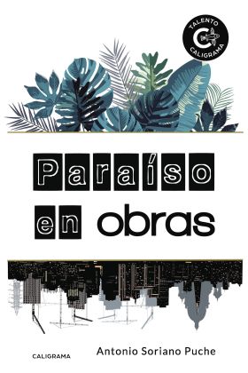 PARAÍSO EN OBRAS