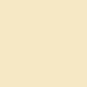 CARTULINA A4 CREMA OSCURO - CÁSCARA DE HUEVO 185G GUARRO CANSON IRIS
