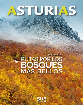 Rutas por los bosques más bellos