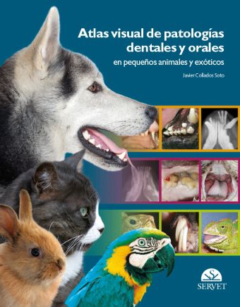 Atlas visual de patologías dentales y orales en pequeños animales y exóticos