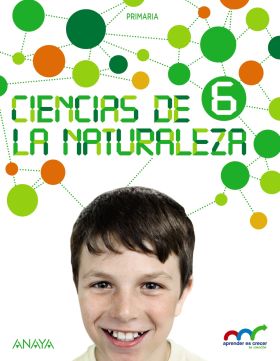 Ciencias de la Naturaleza 6. Natural Science 6 In focus. Primaria. Anaya + Digit