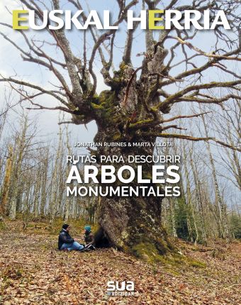 Rutas para descubrir árboles monumentales