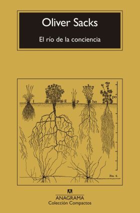 EL RÍO DE LA CONCIENCIA