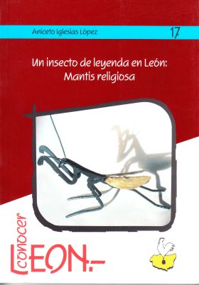 Un insecto de leyenda en León: Mantis religiosa
