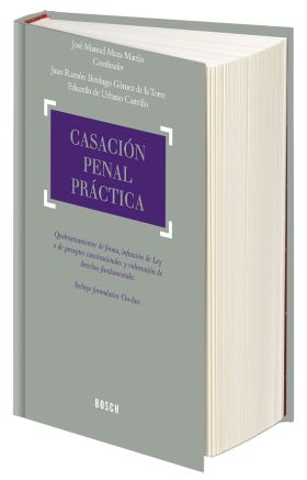 Casación penal práctica