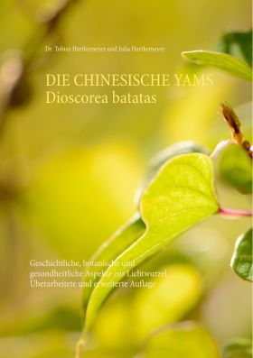 DIE CHINESISCHE YAMS DIOSCOREA BATATAS