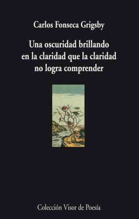 Una oscuridad brillando en la claridad que la claridad no logra comprender