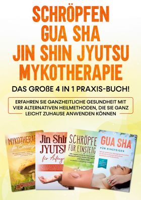 SCHRÖPFEN | GUA SHA | JIN SHIN JYUTSU | MYKOTHERAPIE: DAS GROßE 4 IN 1 PRAXIS-BU