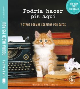 PODRIA HACER PIS AQUI