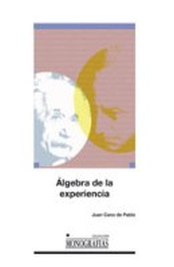 Álgebra de la experiencia