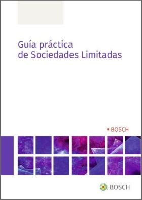 Guía práctica de Sociedades Limitadas