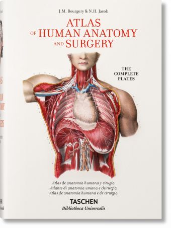 BOURGERY ATLAS OF ANATOMY