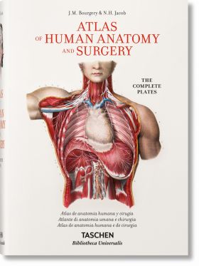 Bourgery. Atlas of Human Anatomy and Surgery