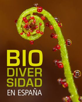 Biodiversidad en España