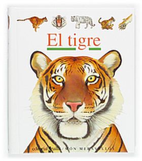 TIGRE