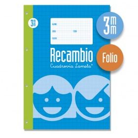 RECAMBIO Fº 3MM LAMELA FOLIO/A4