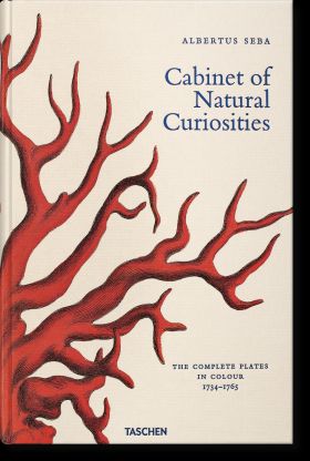 Albertus Seba. Cabinet of Natural Curiosities