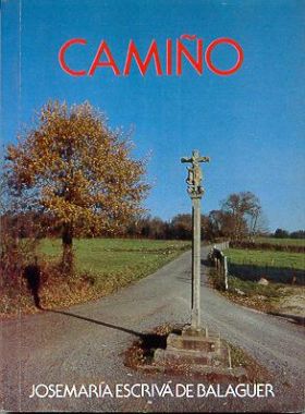 Camiño. (Camino en gallego)