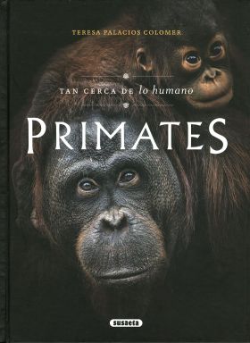 Primates. Tan cerca de lo humano